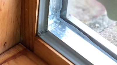 Sealants for window installation and repair 