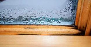 How do you get rid of mold between window panes?