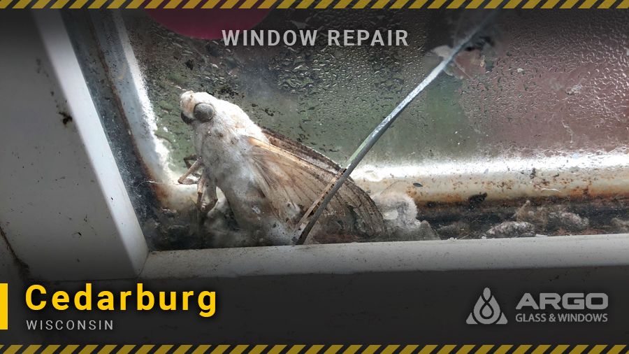 Professional Foggy Window Repair company